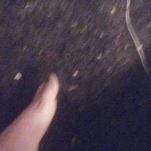 Meet your Posher, Ronald